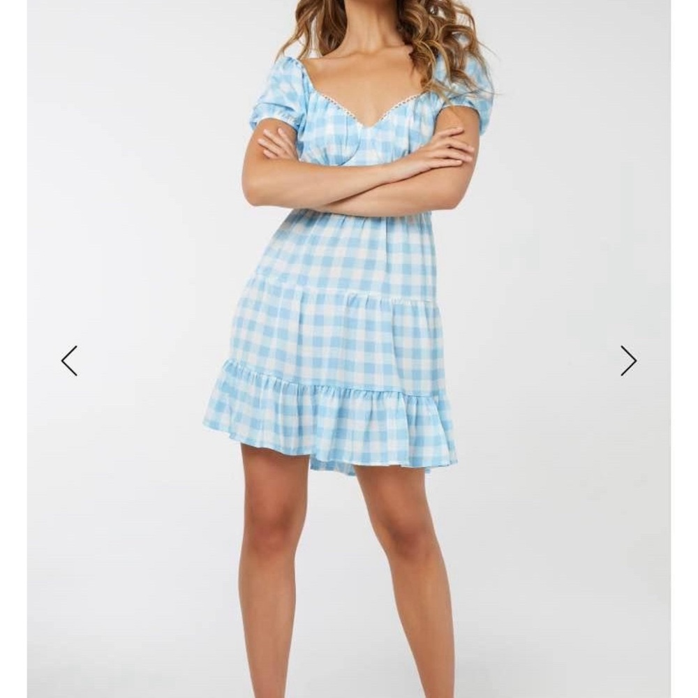 NWT Blue Gingham Dress